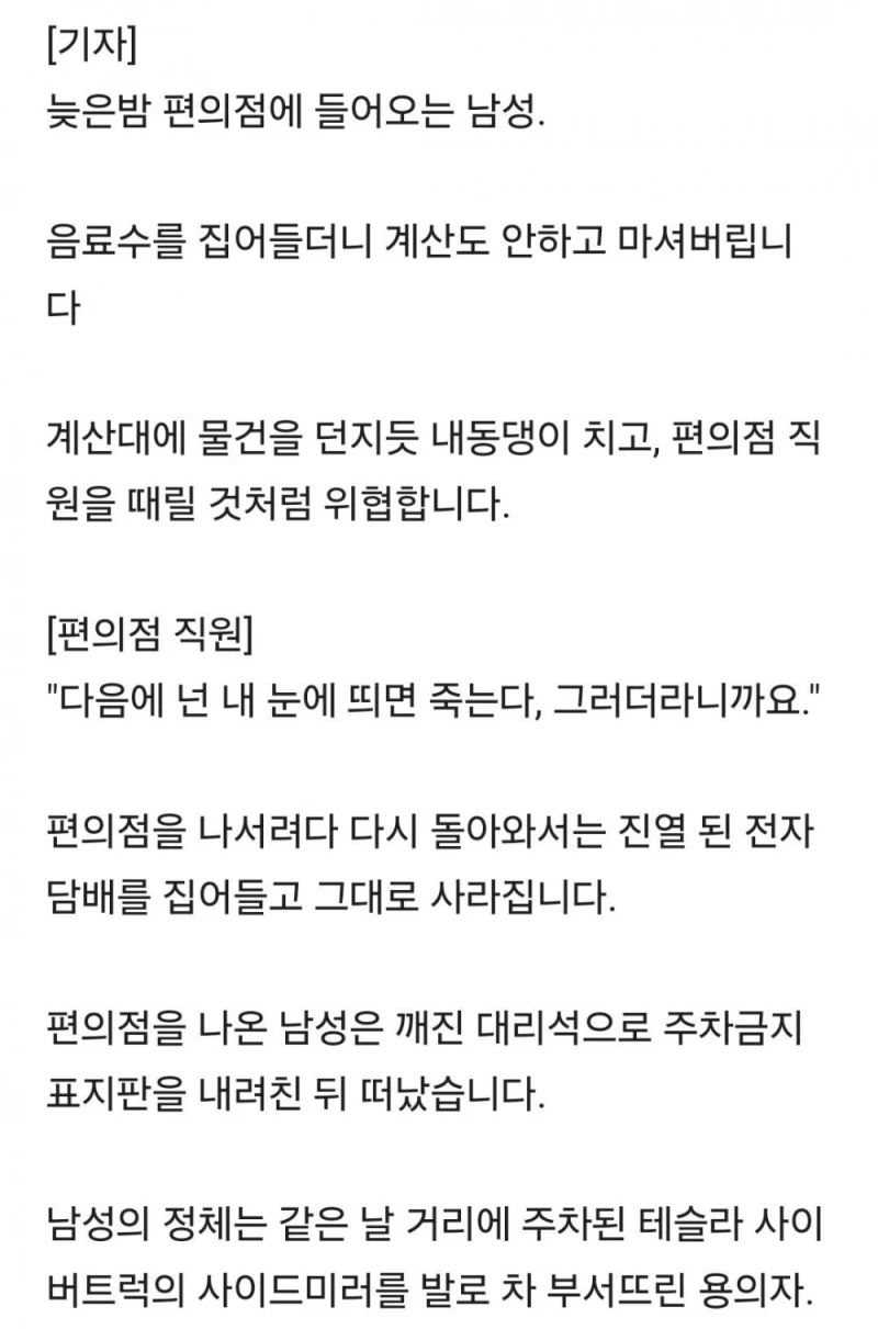테슬라트럭 사이드미러 날아차기 범인은 中 관광객 -2