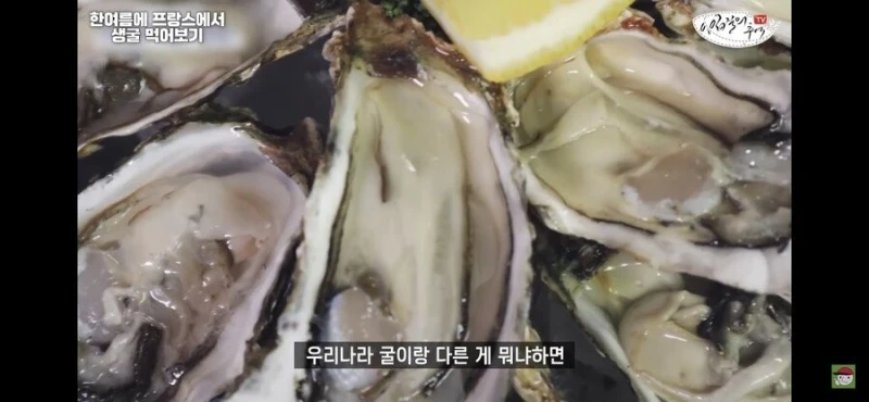 프랑스 프리미엄 굴을 먹어보기-4