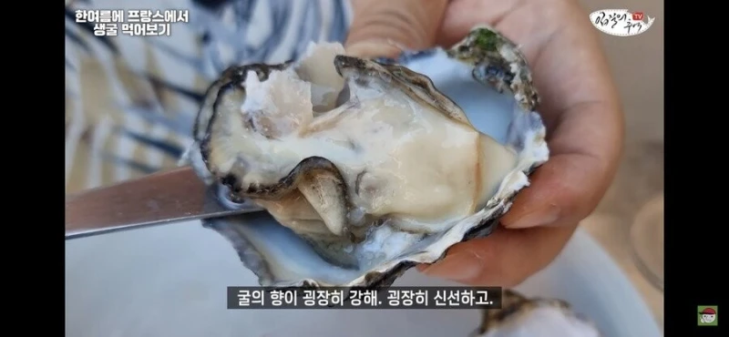 프랑스 프리미엄 굴을 먹어보기-5