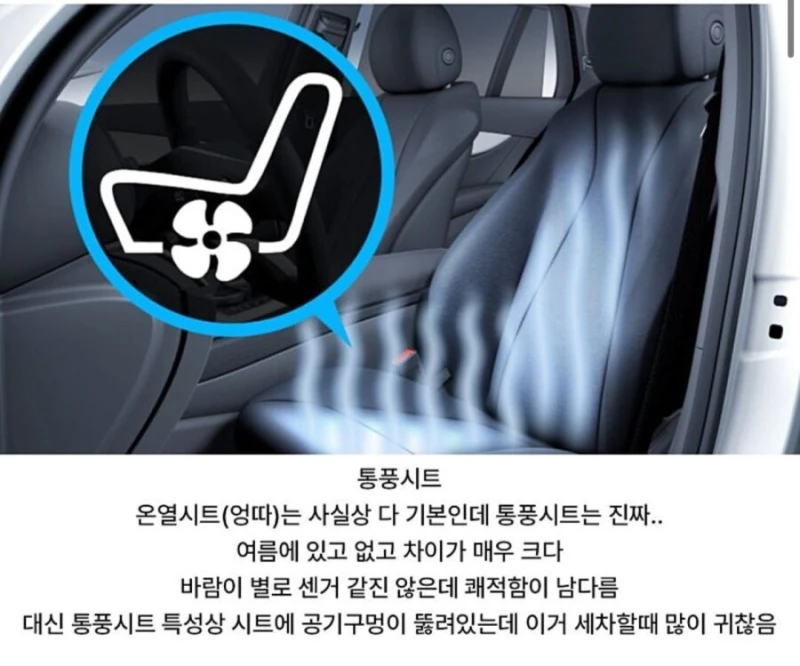 역체감 심한 자동차 옵션 3가지-3