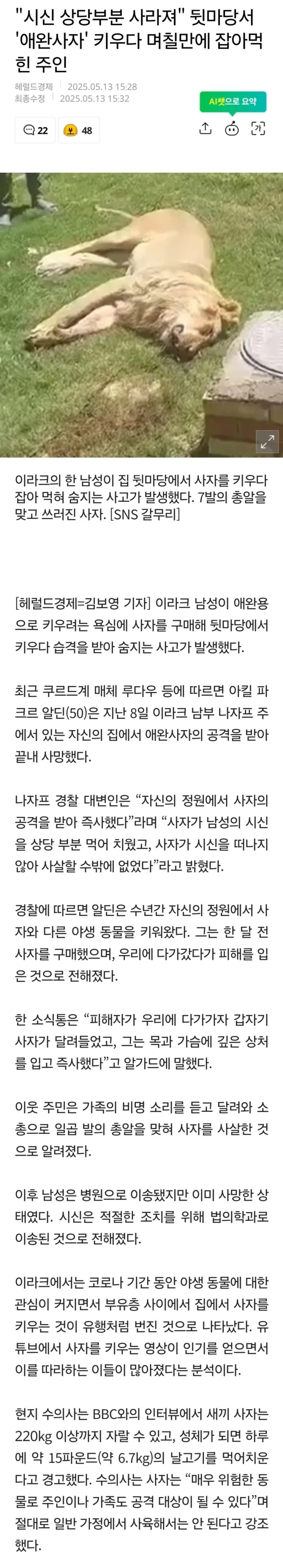 뒷마당서 '애완사자' 키우다 며칠만에 잡아먹힌 주인