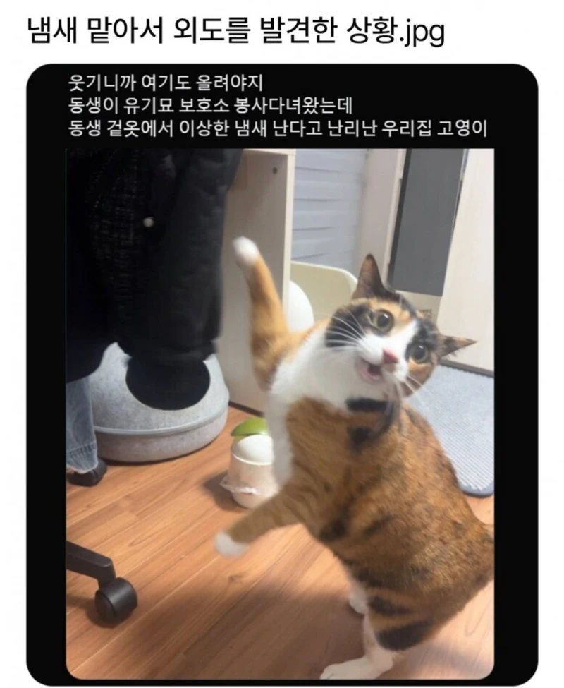 동거인의 옷에서 다른 년의 냄새가 난다