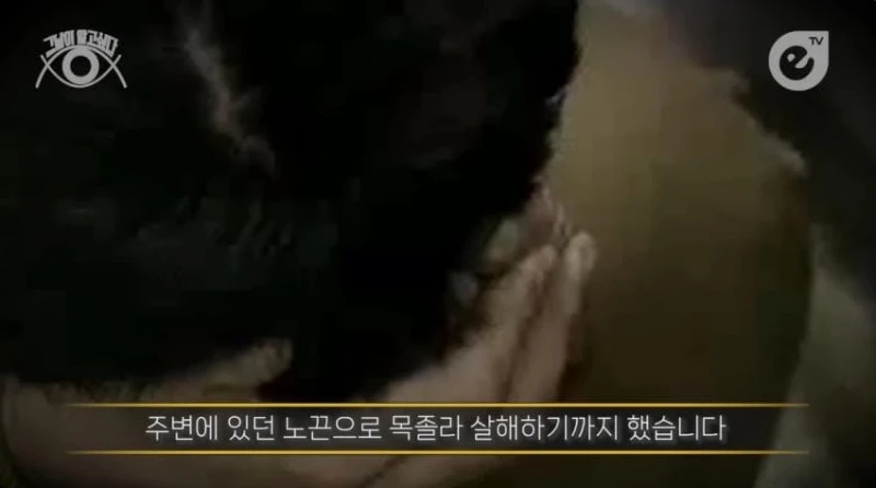 성폭행하고 군대로 도망간 미친놈 -48