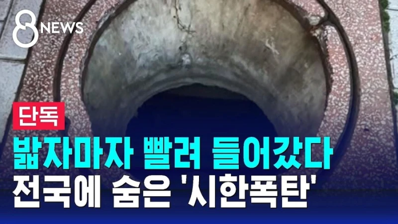 절대로 밟지 말라는 분홍 맨홀