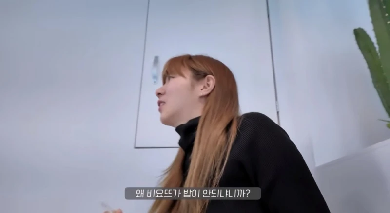비요뜨 밥이 될 수 있다 vs 없다-4