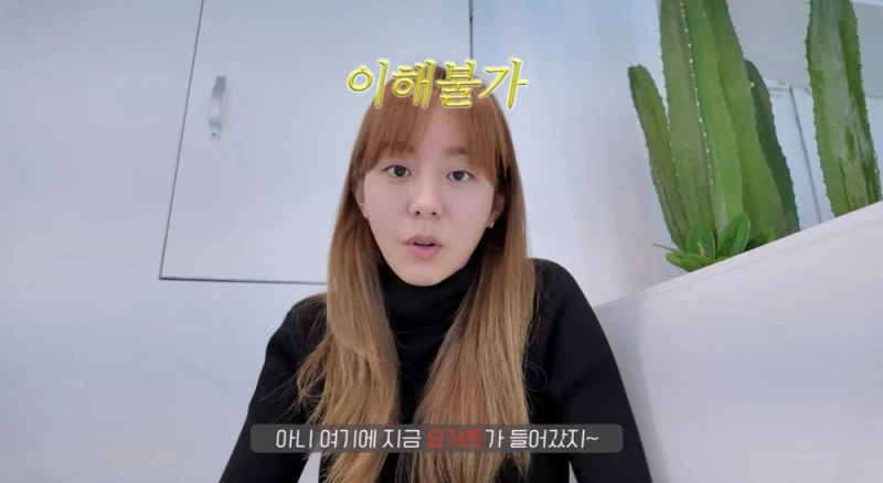비요뜨 밥이 될 수 있다 vs 없다-8