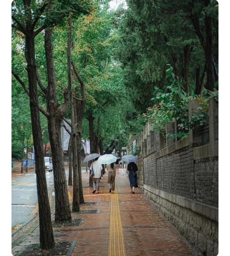 대한민국에서 가장 아름다운 동네-3