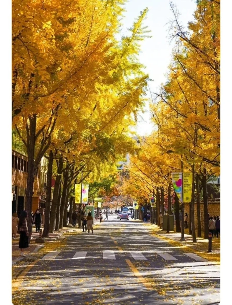 대한민국에서 가장 아름다운 동네-6