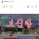 정부에서 예비비 834억 긴급 투입하겠다는 분야