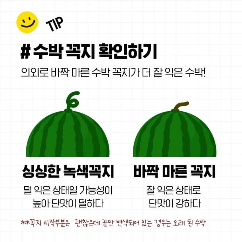 두드리지 않고 꿀수박 고르는 법과 보관 방법-4