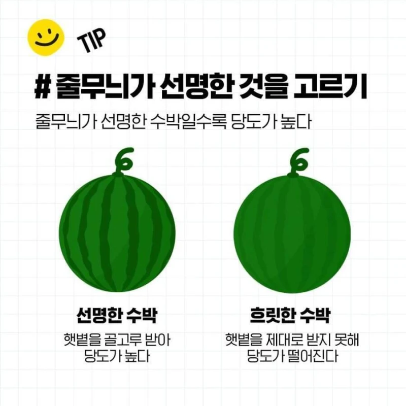 두드리지 않고 꿀수박 고르는 법과 보관 방법-5