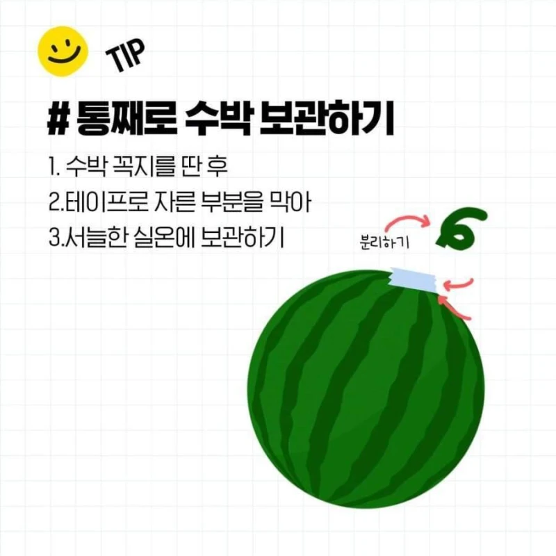 두드리지 않고 꿀수박 고르는 법과 보관 방법-6