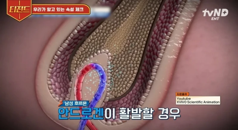 머리 빨리 자라게 하려면 야한생각을 해야한다?-10