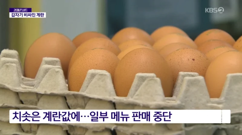 또 오른다.. 국내 계란 값 폭등 조짐-2