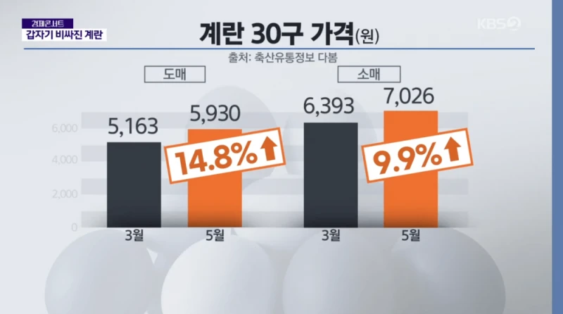 또 오른다.. 국내 계란 값 폭등 조짐-6
