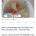 오늘자 일본 톱 뉴스...급식 먹다가 목에 걸려서 사망 