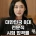 대한민국 8대 전문직 시험 합격률