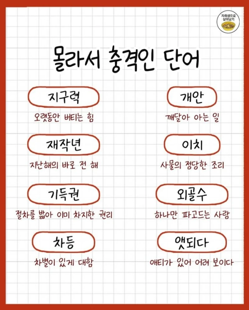 요즘 애들은 잘 모르는 단어라고 함-5
