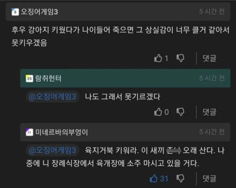 강아지 일찍 죽을까봐 못키우겠다는 사람에게 제시한 해결책