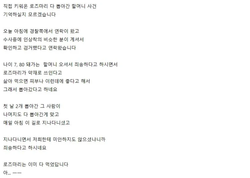 가게 앞 로즈마리 누가 훔쳐갔다는 자영업 사장님-2