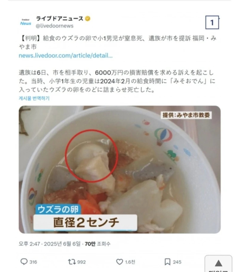 일본 초등생 급식 먹다가 사망 사건