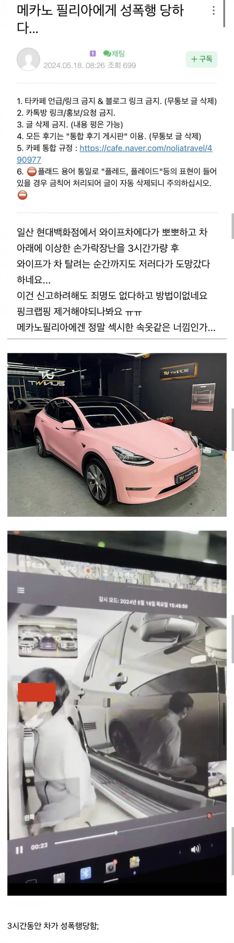 차박이에게 성폭행 당한 테슬라차ㄷㄷ