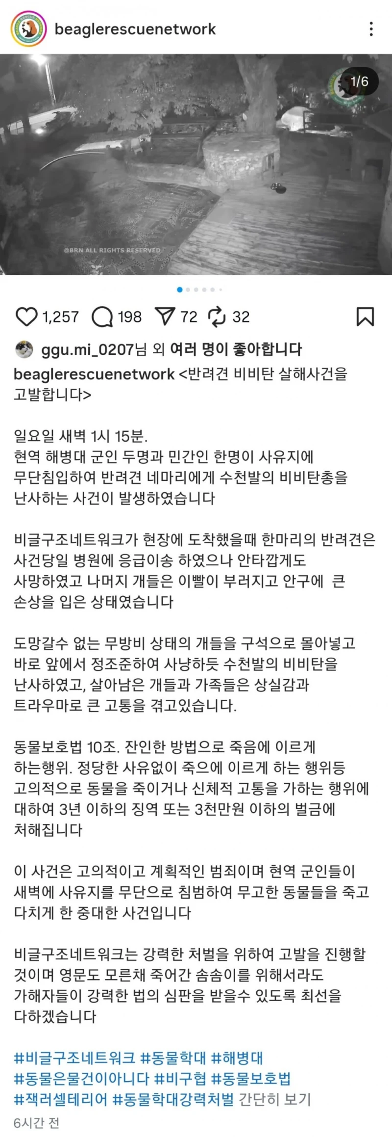 이번에 군인들이 쏜 비비탄 수백발에 다친 노견들 사진 -7