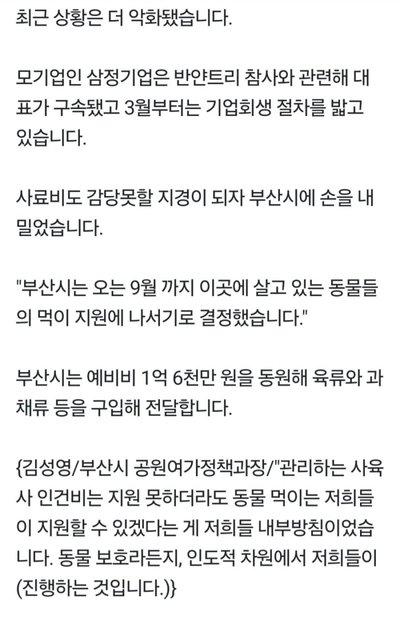 부산시, 세금으로 동물원 먹이 지원-4