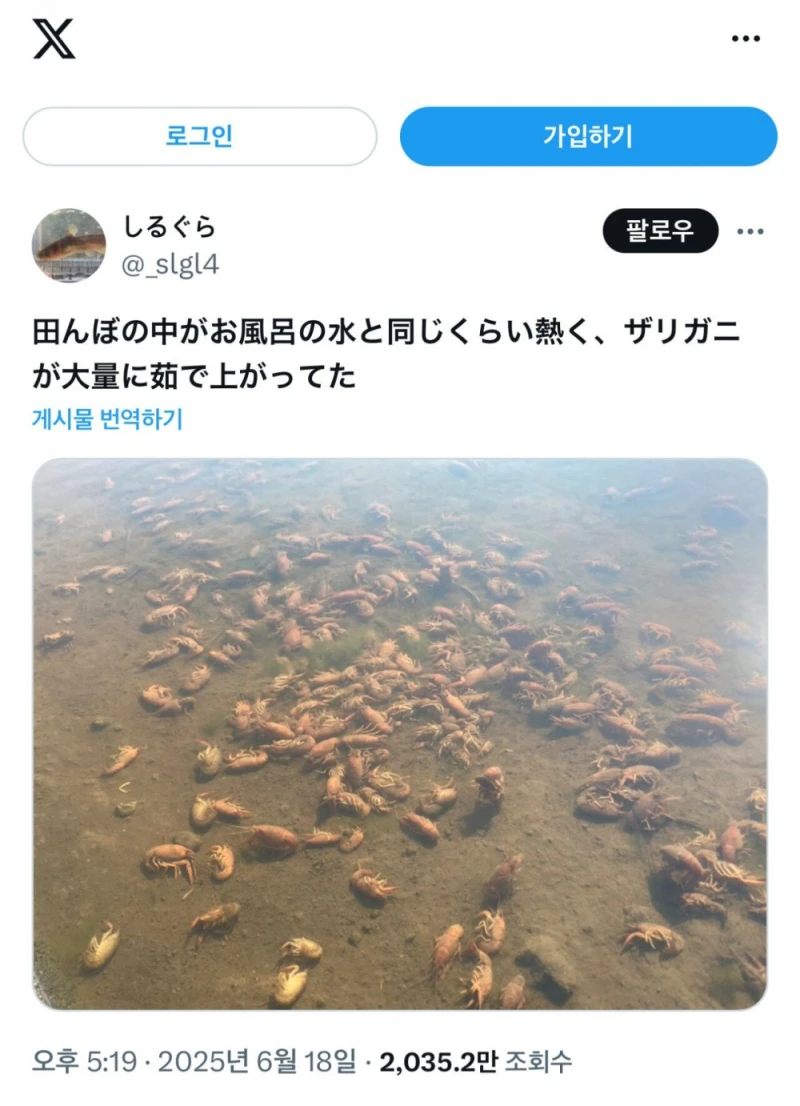 미쳐버린 일본 날씨 근황