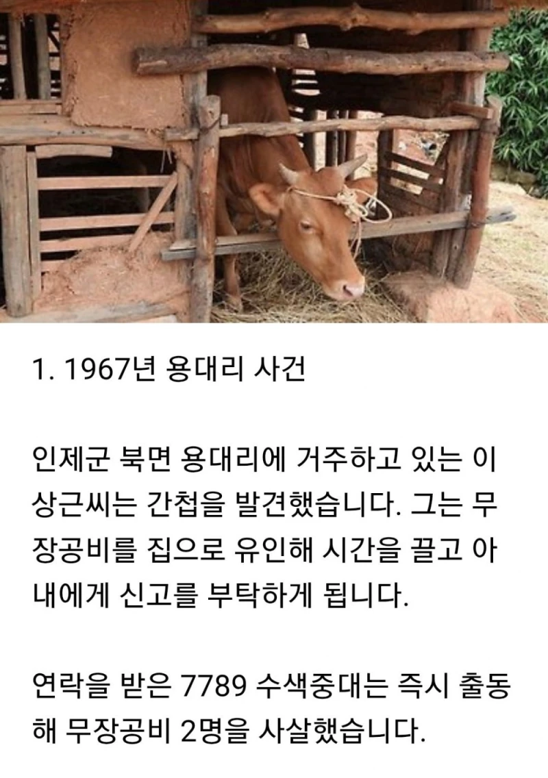 간첩 신고 포상금 TOP 5 