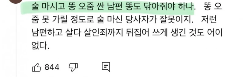만취해 대변 묻은 남편보고 그냥 외출한 아내, 무죄-28