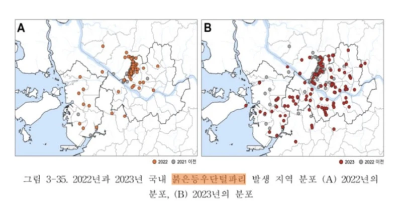 서울 인천 러브버그 발생지역 분포도
