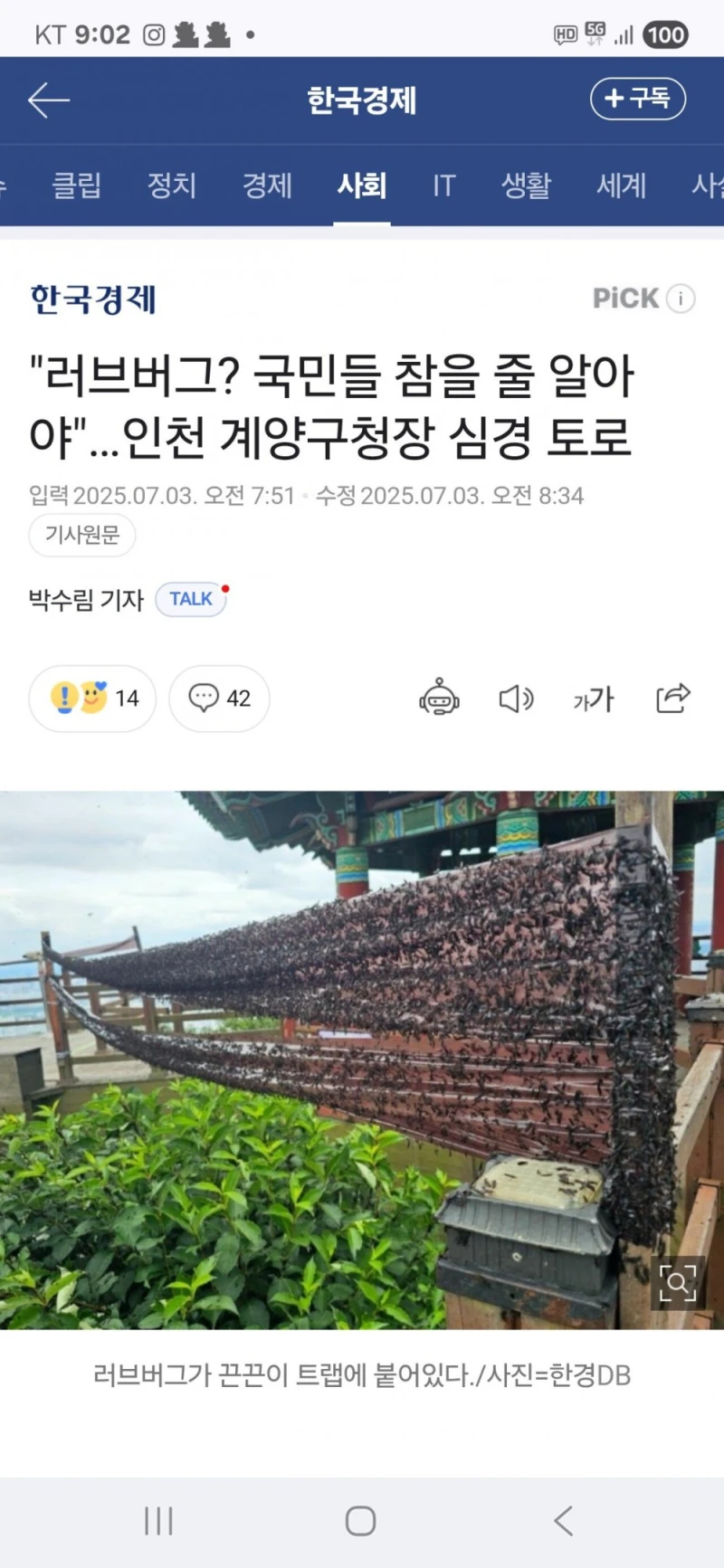 "러브버그? 국민들 참을 줄 알아야"