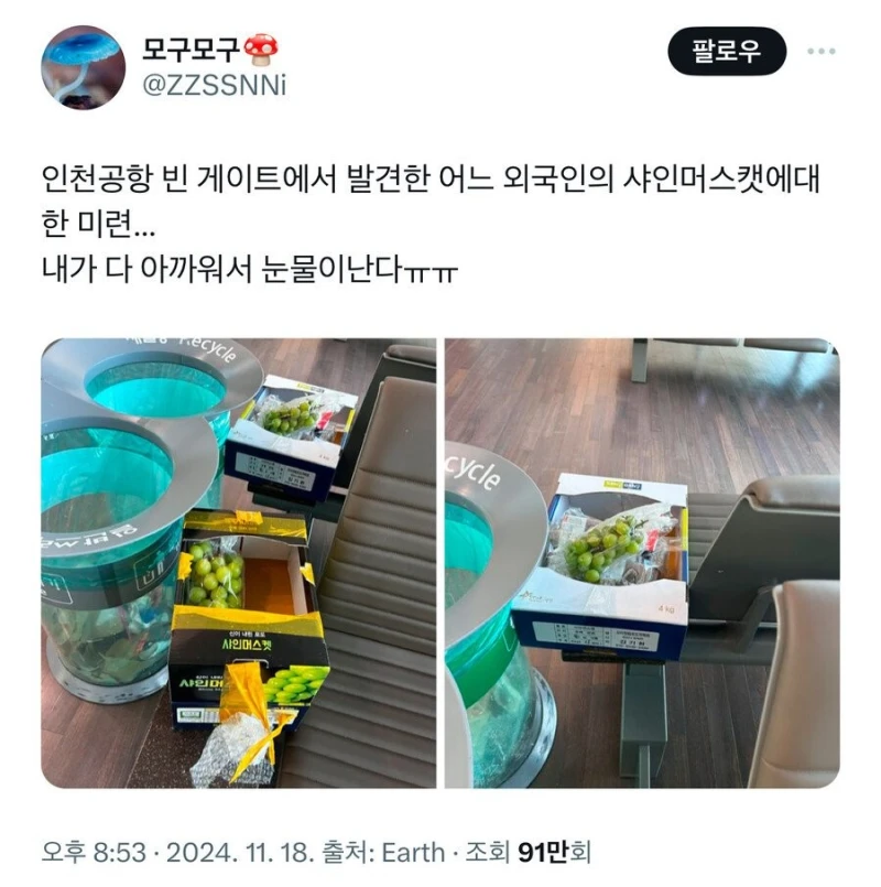 인천 공항 빈 게이트에서 발견된 외국인의 샤인 머스캣 