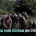 북유럽 국가들 여성 징병제 실시, 한국은 시니어 아미 활용