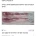 현재 서로 충격받고있는 이마트 삼겹살 상태