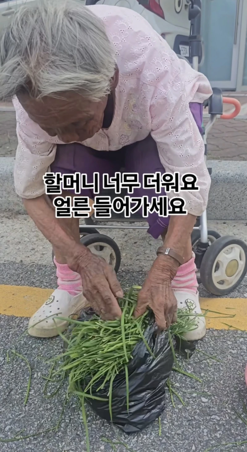요즘 극한 날씨때매 무분별하게 퍼지고 있다는 컨텐츠-5