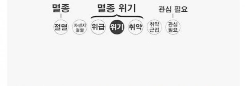 아마도 처음 봤을 수도 있는 희귀동물 