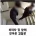 집앞 CCTV 레전드
