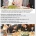 한식 세계화를 위해 돈 쏟아붇던 시절