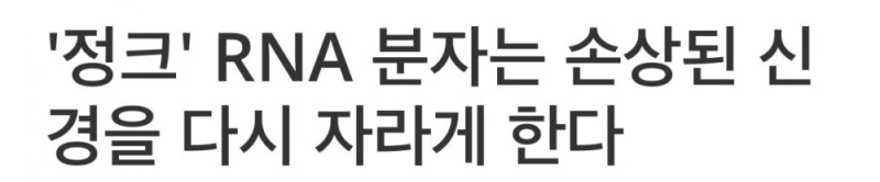 현재 난리났다는 신경회복 시키는 RNA 근황 