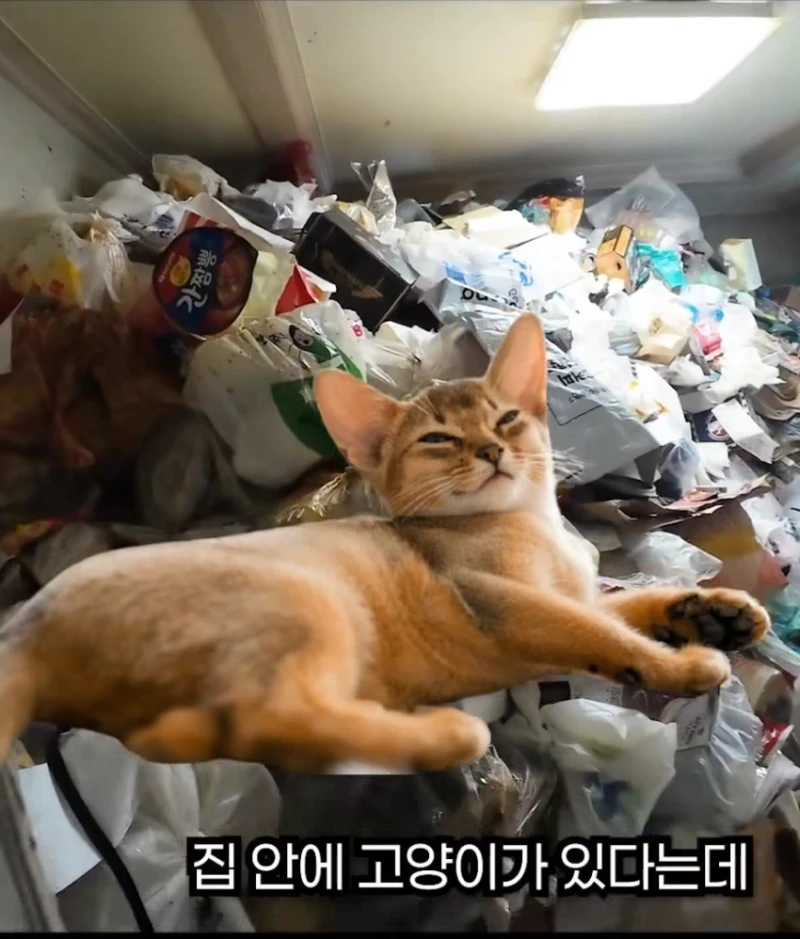 15시간 청소하고 쓰레기 3톤 나온집 -5