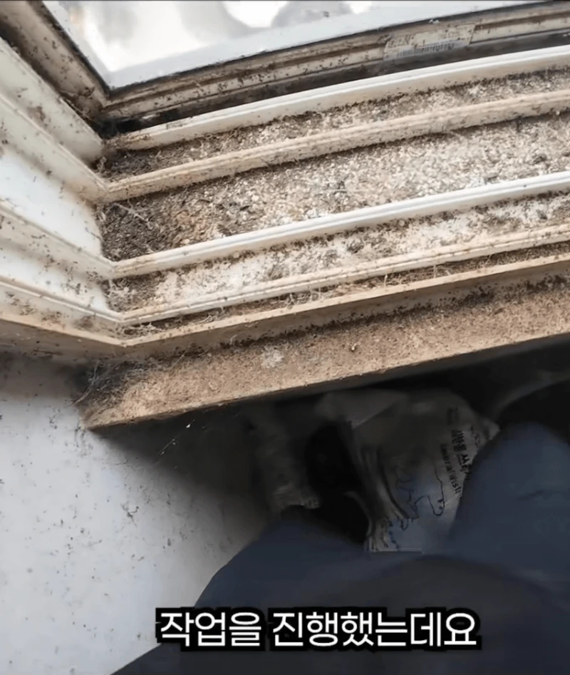 15시간 청소하고 쓰레기 3톤 나온집 -6