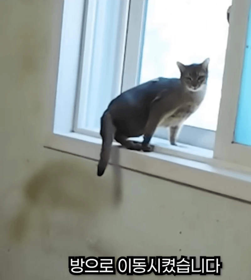 15시간 청소하고 쓰레기 3톤 나온집 -8