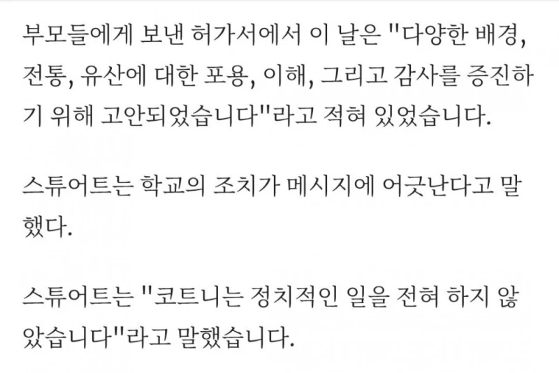 12세 소녀. 영국에서 영국 국기 드레스 입었다가 생긴 일 -6