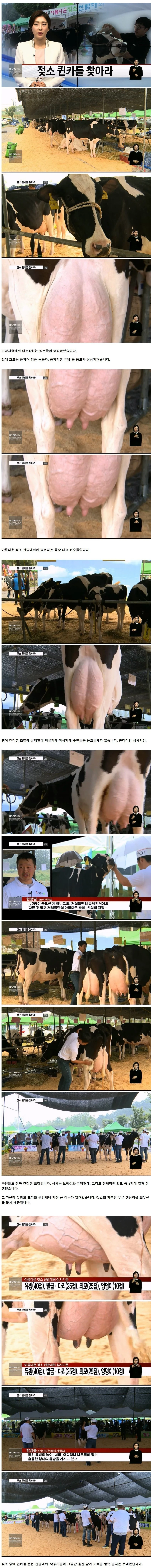 유방이 예쁠수록 많은 점수를 받는 대회