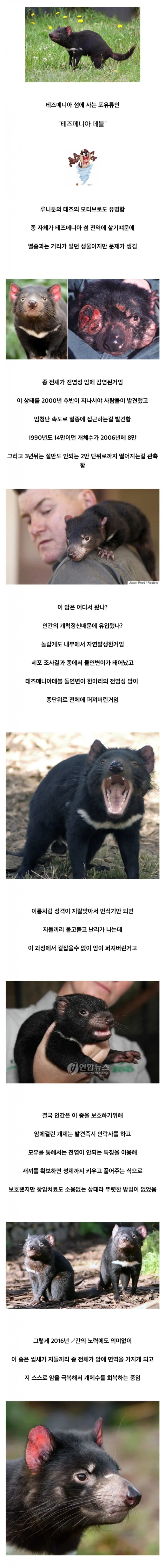 오들오들 멸종 직전까지 몰린 종 하나가 되살아난 방법