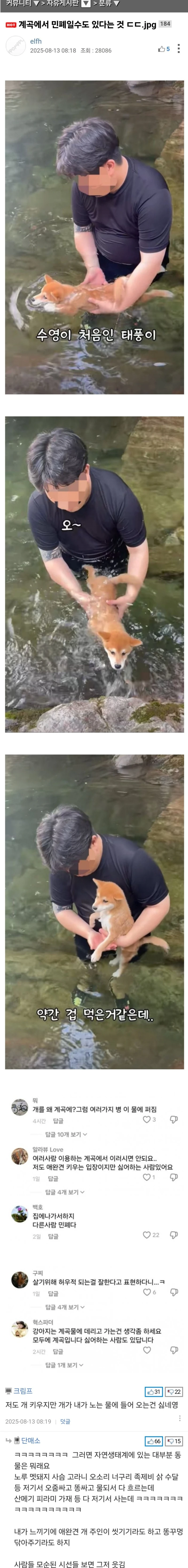 계곡 민폐다 VS 아니다 논란되고 있는 것
