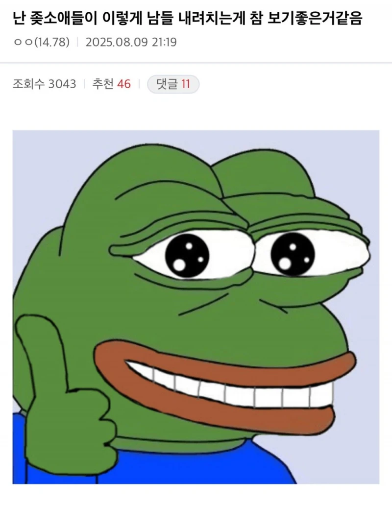 ㅈ소애들이 남들 내려치는게 보기 좋다는 중소갤러 