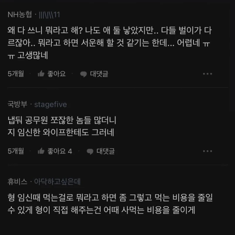임신한 와이프한테 돈 좀 아껴달라고 하면 좀 그런가?-2